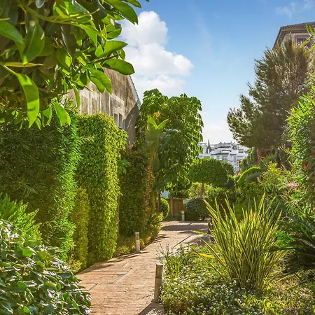Lovely In With Kitchen Apartment Estepona